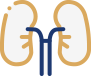 폐 일러스트